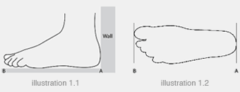 charles and keith shoes size chart